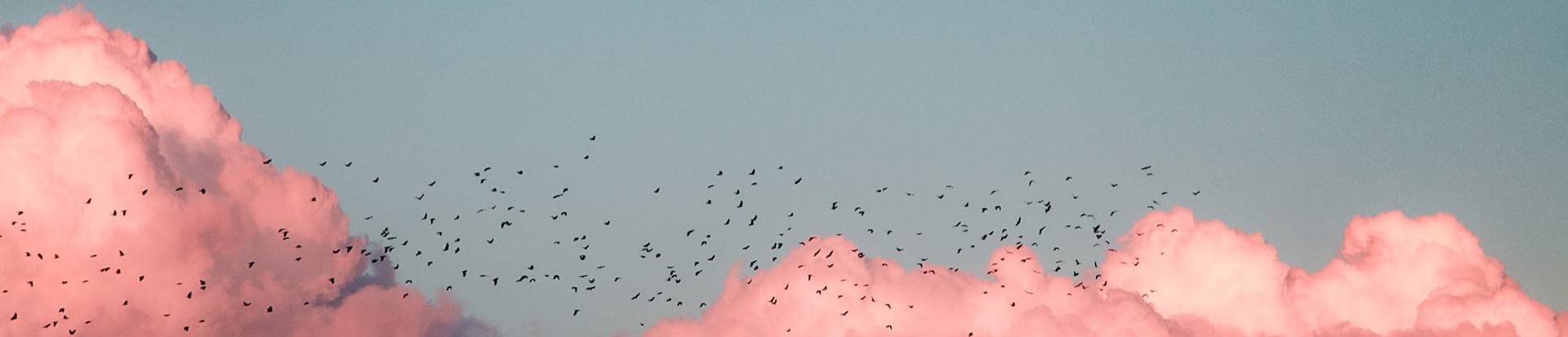 "Ageing and home: how to adapt the environmental conditions of spaces for the elderly".