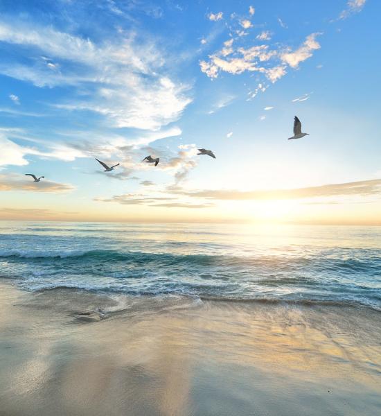  Día de la Ciencia para Seniores