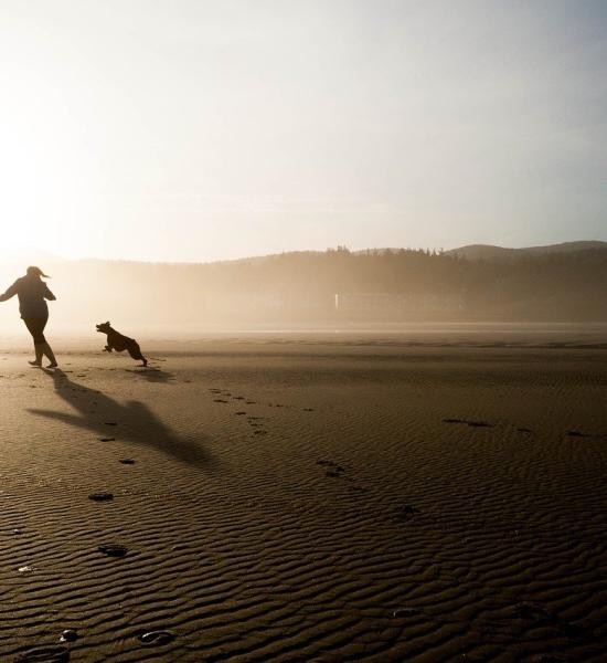 DGS - Innovation Fair "Challenges and Opportunities for Active and Healthy Ageing