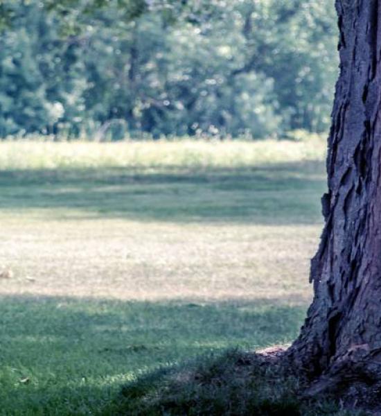 La Economía de la Longevidad en Castilla y León