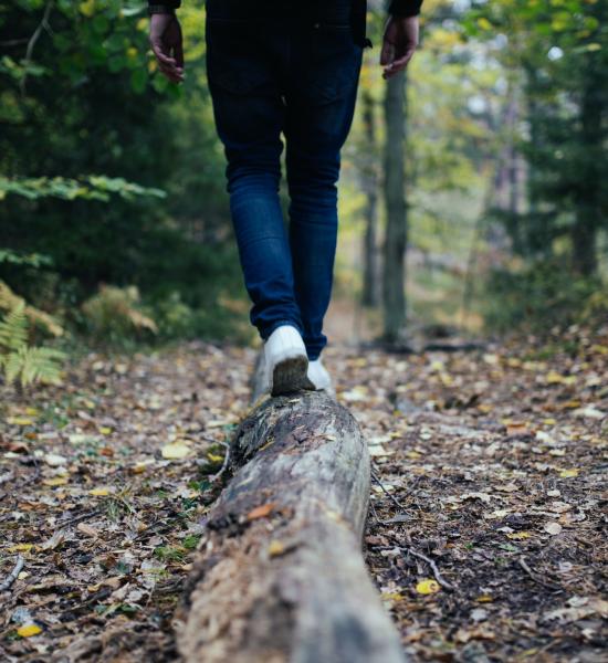  The importance of preventing the risk of falls in longevity