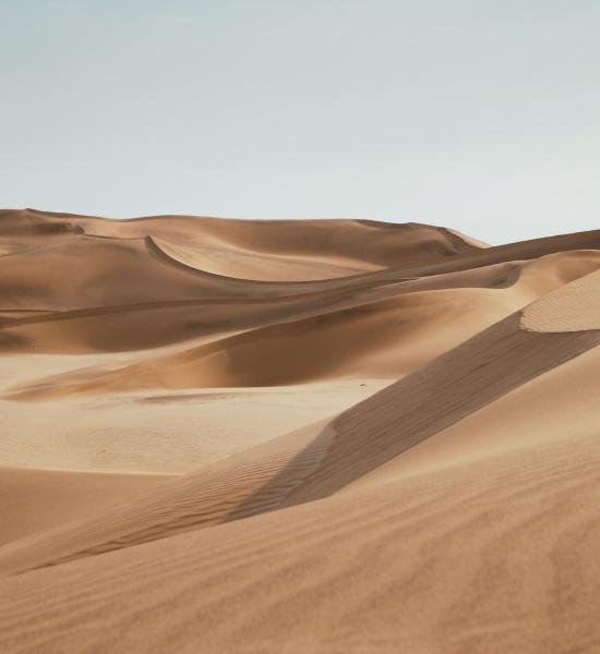  1st Meeting: "Early detection of liver cancer in the elderly".