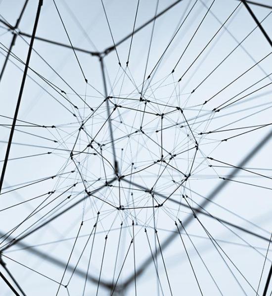 Abierto el proceso de contratación de la Fundación General CSIC para trabajos sobre envejecimiento