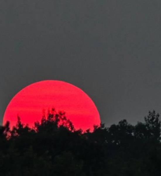 Las nuevas sociedades longevas