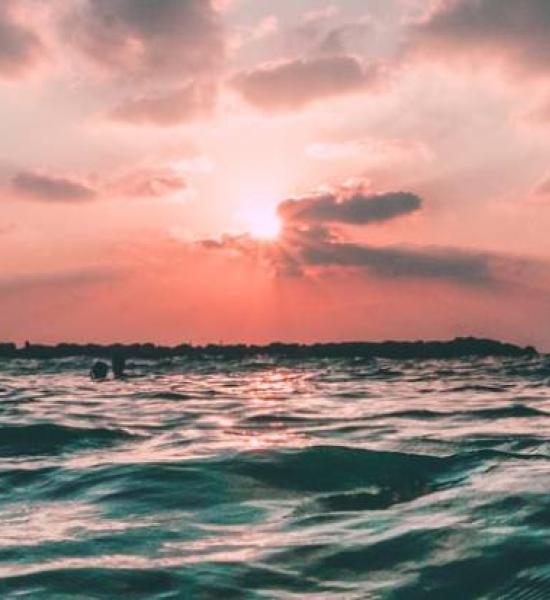 4th Meeting - Artificial intelligence applied to the promotion of healthy cognitive ageing