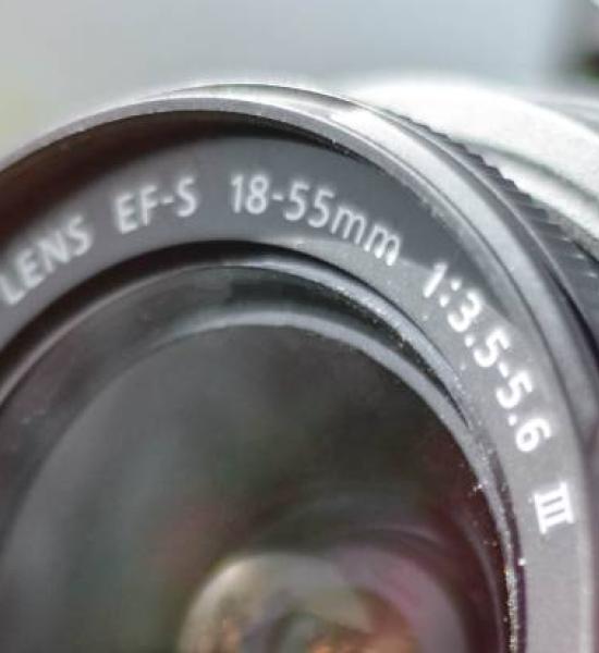 Vitamina D gana el concurso de fotografía "Vidas longevas: la vitalidad constante”