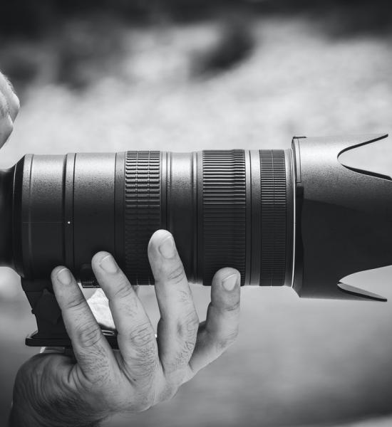 Voting open for the "People's Choice" award