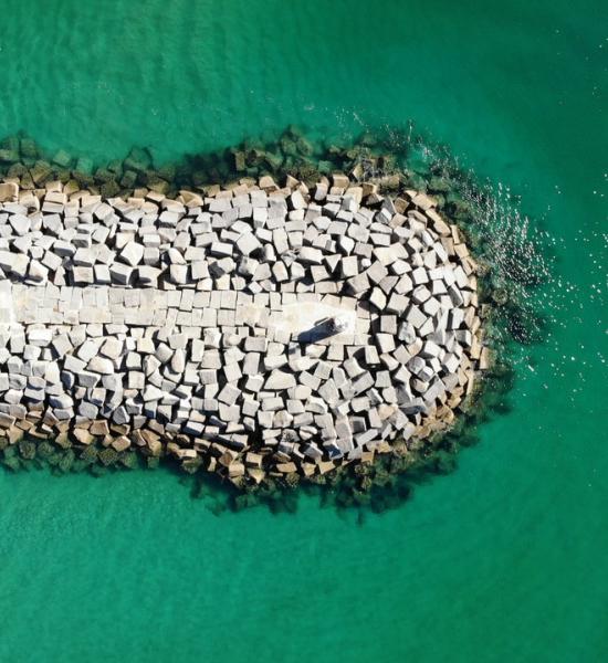  CENIE promotes a broad reflection on the issue of ageing and demographic change in the Algarve