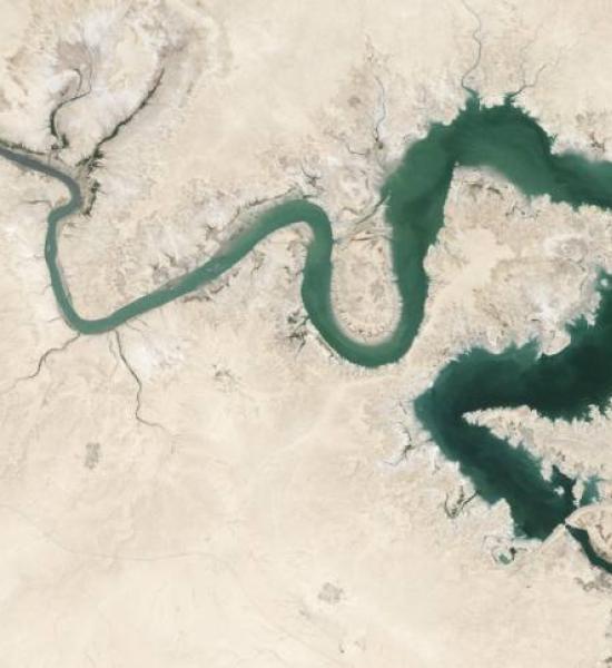 ‘Salud financiera: pensando en el futuro’  Curso online para conocer mejor nuestras decisiones financieras  