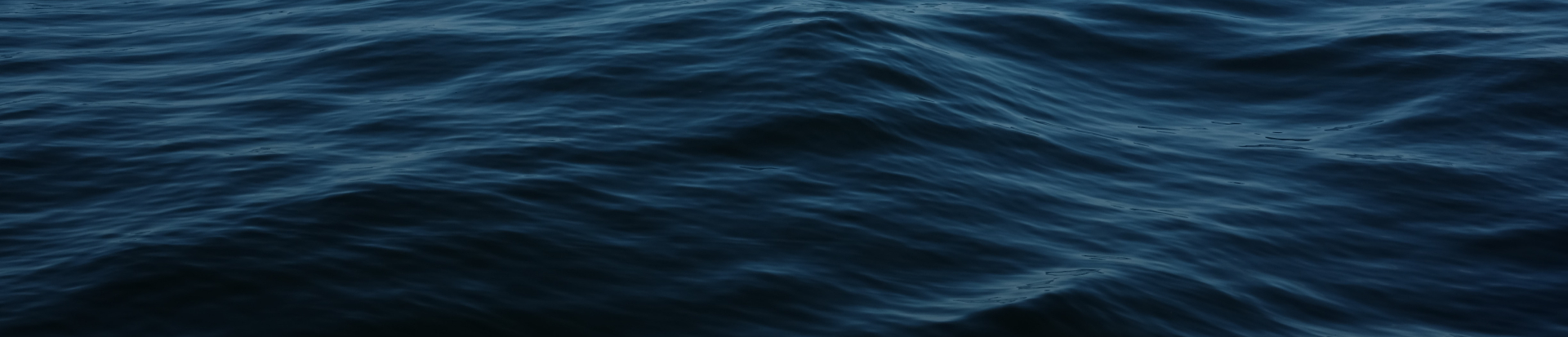 Salud Financiera - CENIE presenta la investigación: “Salud Financiera: nuestras decisiones y el futuro” 